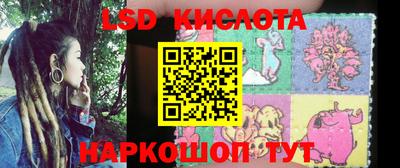 прущие крисы Бийск