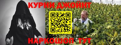 прущие крисы Бийск