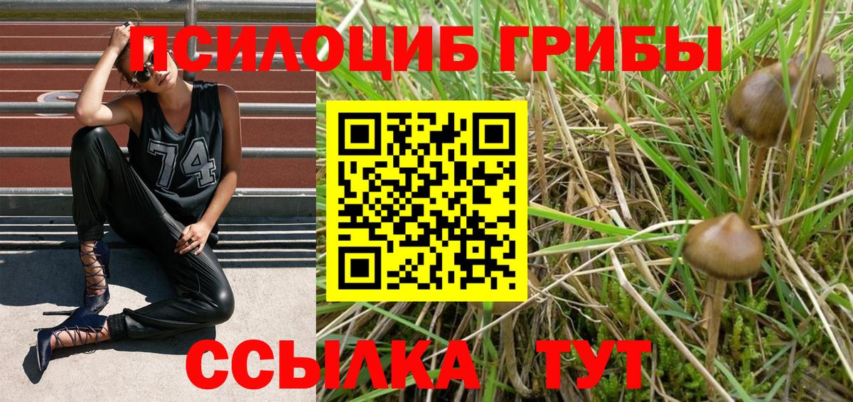Галлюциногенные грибы ЛСД  Вход с VPN  что такое   Псилоцибиновые грибы ЛСД  Ишим 